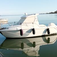 Sessa Rapala 19