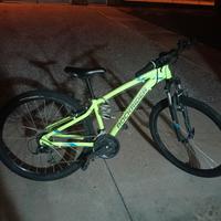 Mountain bike