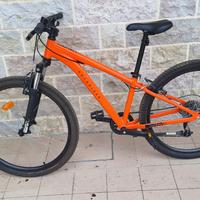bicicletta