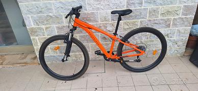 bicicletta