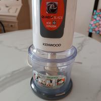 Tritatutto Kenwood