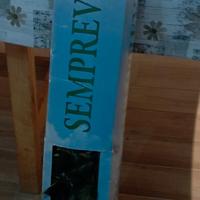 Siepe edera finta 2 rotoli 1x3mt + rotolo 1,5x 3mt