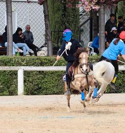 Pony 1.33 Mountain Games