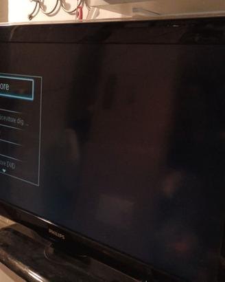 TV Philips (no digitale terrestre)