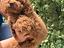 Immagine 6