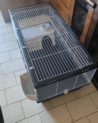 gabbia per coniglio/cavia