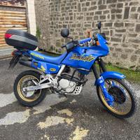 Honda Dominator NX650 ASI Conservata e Tagliandata