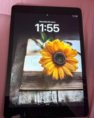 Ipad 9th generation 256gb