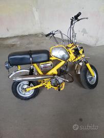 BENELLI  MINIBIKE
