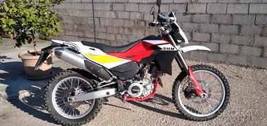 SWM RS650R