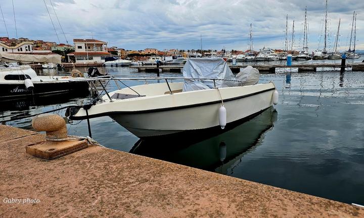 Barca Falcon (Renato Molinari) 5.35