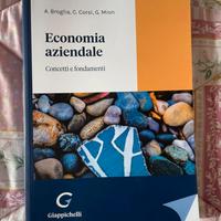 Libro Economia Aziendale Concetti e Fondamenti