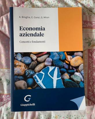 Libro Economia Aziendale Concetti e Fondamenti