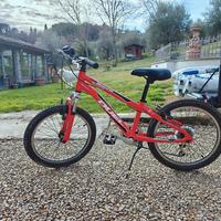 Bianchi Duel da 20 pollici