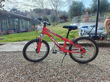 Bianchi Duel da 20 pollici