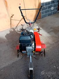 MOTOZAPPA BENASSI 5,5 HP OHV