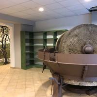 MACINA ANTICA  - FRANTOIO OLIO