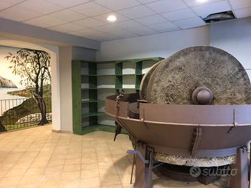 MACINA ANTICA  - FRANTOIO OLIO