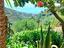 Immagine 26