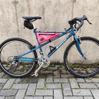 MTB Bianchi Ragno Theridion Gravel 