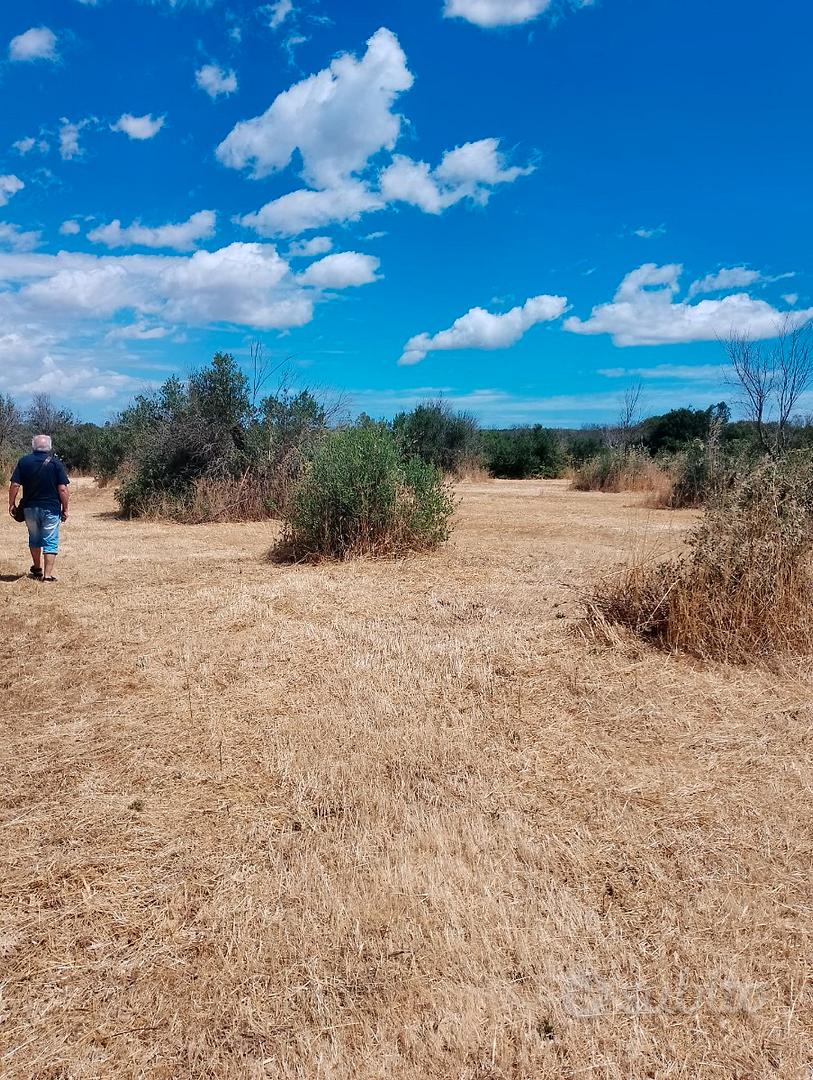 Terreno agricolo - Vista 2