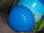 Immagine 6