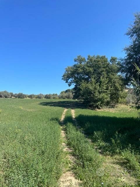 Terreno di 10000 m² a Spoltore - Vista 3