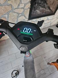 Segway P65