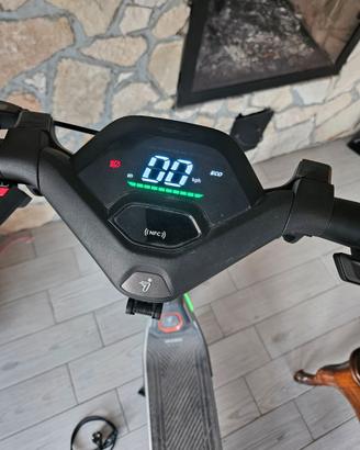 Segway P65