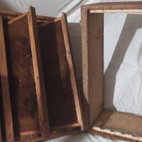 atrezzatura apistica