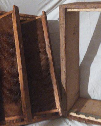 atrezzatura apistica