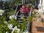 Immagine 16