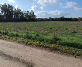 Terreno agricolo