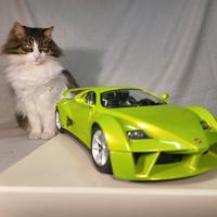 Burago 1:18 Giugiaro Primia tutta apribile metallo