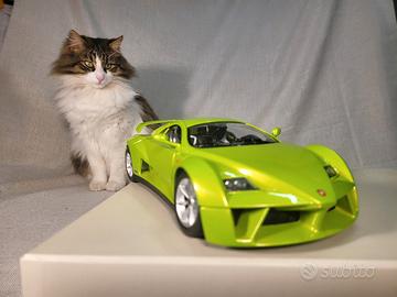 Burago 1:18 Giugiaro Primia tutta apribile metallo