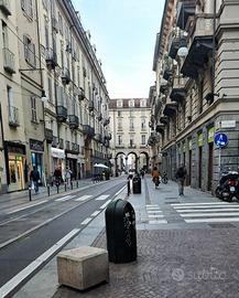 Attico/Mansarda Torino [1877ARG]