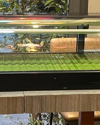Vetrina sushi da banco marca Hoshizaki usata