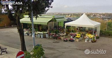 Cessione attivita' fioraio falconara