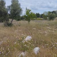 Terreno Martina e Crispiano