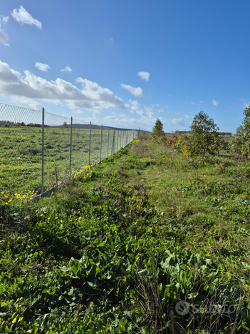 Terreno Agricolo