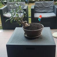 Salottino da giardino