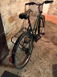 Bicicletta LongWay