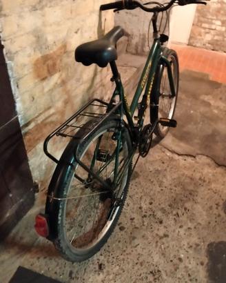Bicicletta LongWay