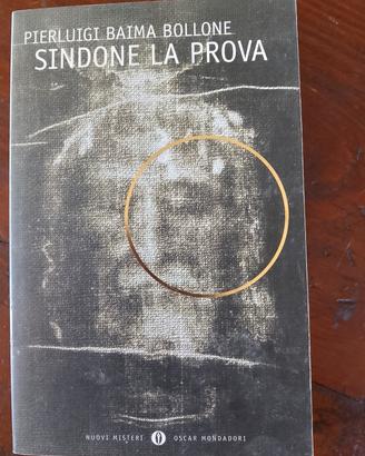 Sindone la prova 