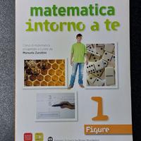 Matematica intorno a te 1 Figure 9788842416111