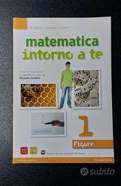 Matematica intorno a te 1 Figure 9788842416111