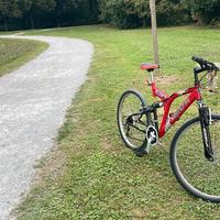 bici con ammortizzatori