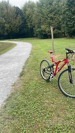 bici con ammortizzatori