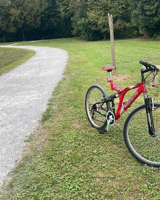 bici con ammortizzatori