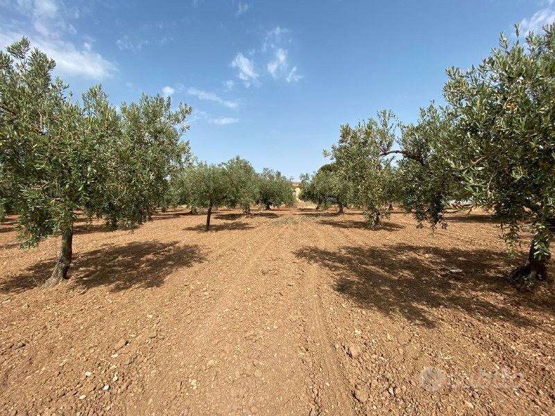 Terreno agricolo - Vista 2